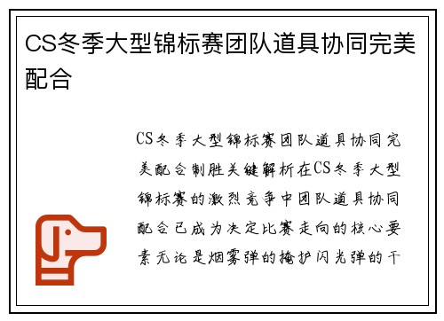 CS冬季大型锦标赛团队道具协同完美配合