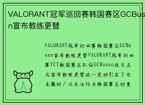VALORANT冠军巡回赛韩国赛区GCBusan宣布教练更替
