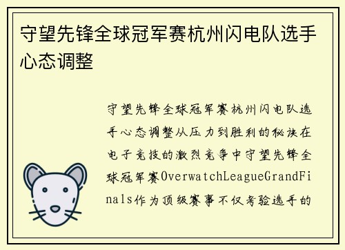 守望先锋全球冠军赛杭州闪电队选手心态调整